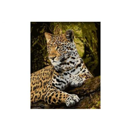 Schilderen op nummer Luipaard Wizardi H159