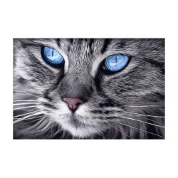 Diamond painting blauwogige kat Wizardi WD2517