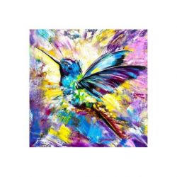 Diamond painting kleurrijke vlucht Wizardi WD2518
