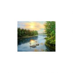 Diamond painting zwanen bij zonsopkomst Wizardi WD2607