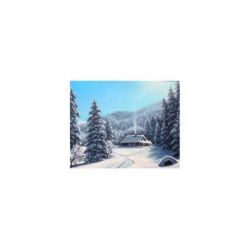 Diamond painting winterdag Wizardi WD2610