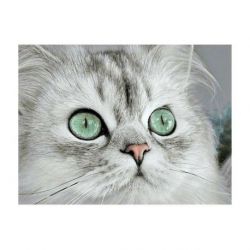 Diamond painting magnetische ogen Wizardi WD3000