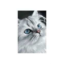 Diamond painting kattenogen Wizardi WD3003