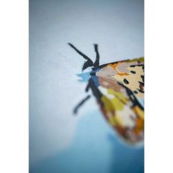 Schilderen op nummer boskat LanArte PN-0195430