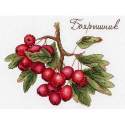 Borduurpakket Berries MP-Studia SNV-651