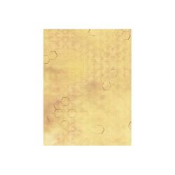 Borduurstofstukje bedrukt: Designer canvas Aida 5.5 30x40 cm. MP-Studia SKD14-150