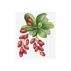Borduurpakket Berberis MP-Studia SM-595