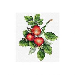 Borduurpakket rijpe rozenbottels MP-Studia SM-599