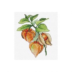 Borduurpakket lampionplant MP-Studia SM-603