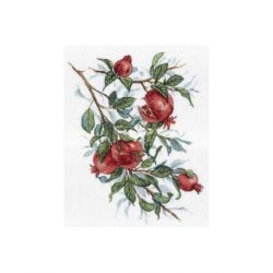 Borduurpakket granaatappel MP-Studia SNV-535