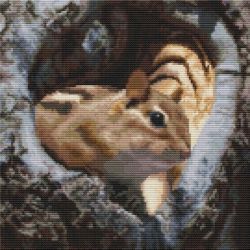 Borduurpakket curious critter Orcraphics 2023.02.70