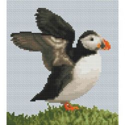 Borduurpakket clown of the ocean Orcraphics 2023.06.69