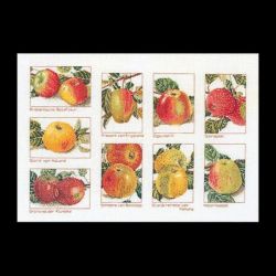 Borduurpakket Appels Thea Gouverneur 2082A