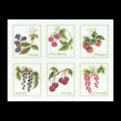 Borduurpakket 6 x Fruit Thea Gouverneur 2091A