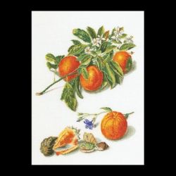 Borduurpakket Fruitportret Antiek 1 Thea Gouverneur 3061L