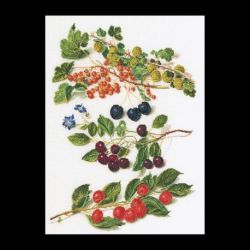 Borduurpakket Fruitportret Antiek 3 Thea Gouverneur 3063A