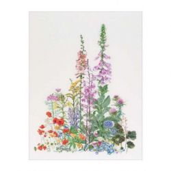 Borduurpakket American wild flowers Thea Gouverneur 554A
