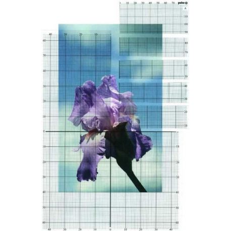 6 verschillende doorzichtige rasters