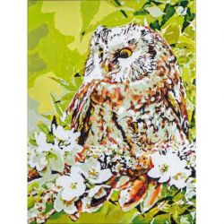 Schilderen op nummerpakket Uil met kaboutertje Vervaco PN-0195422