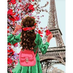Schilderen op nummer Spring in Paris Wizardi J073