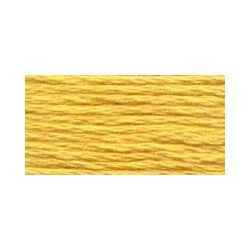 Venus Borduurgaren type25 - 2031