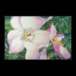 Borduurpakket Kleine roosjes lichtroze Thea Gouverneur 425A