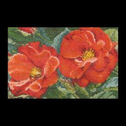 Borduurpakket Orangeade Thea Gouverneur 427A