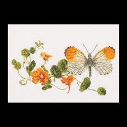Borduurpakket Oranjetipje op Tropaeolum majus Thea Gouverneur 437A