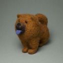 Viltpakket B-147 Chow-chow Moma PN-0215534
