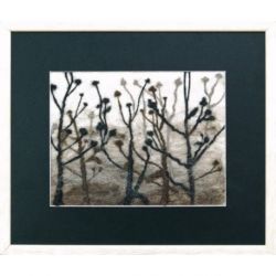 Viltpakket B-68 Thistle Moma PN-0215539