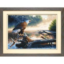 Schilderen op nummer Eagle hunter Dimensions PN-0187022