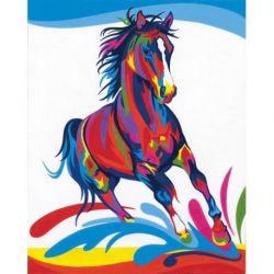 Kleuren op nummer pakket colorful horse Dimensions 73-91851