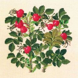 Borduurpakket Rosa Rogusa Haandarbejdets Fremme 30-6142