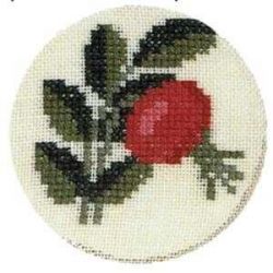 Borduurpakket Rozenbottel jampotdeksel Haandarbejdets Fremme 40-5807