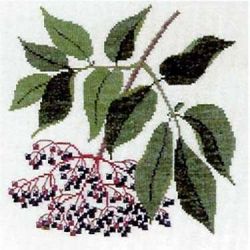 Borduurpakket Vlierbessen Haandarbejdets Fremme 30-5072