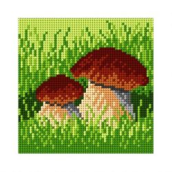 Voorbedrukt stramien eekhoorntjesbrood Orchidea 1838