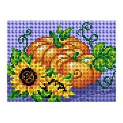 Voorbedrukt stramien pompoenen Orchidea 2823E