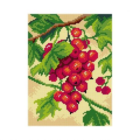 Voorbedrukt stramien aalbessen Orchidea 3483