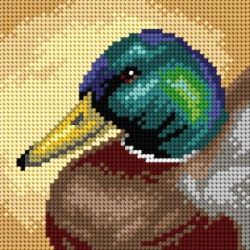 Voorbedrukt stramien Wilde eend Orchidea 3513D