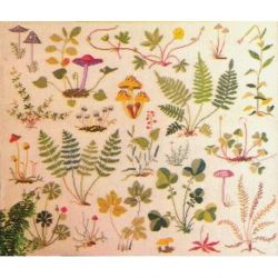 Borduurpakket Planten en paddenstoelen Haandarbejdets Fremme 30-4321