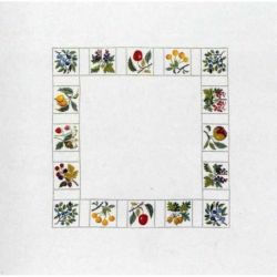 Borduurpakket Loper bessen en vruchtenrand groot Haandarbejdets Fremme 16-4547