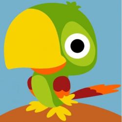 Borduurpakket voorbedrukt papegaai Margot 1435-239