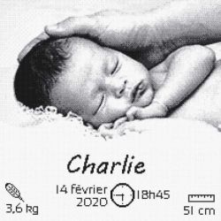 Borduurpakket geboortetegel Charlie Marie Coeur 4093-1120