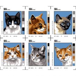 Borduurpakket poesjes set van 6 SEG9213.51