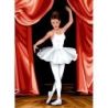 Borduurstramien ballet SEG929.694