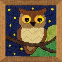 Borduurpakket Owl Among the Stars-RIOLIS-1715