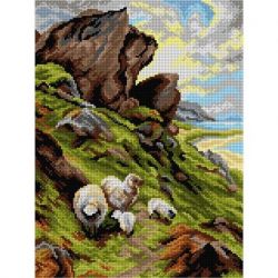 Voorbedrukt stramien Ruige weide Orchidea 3553J