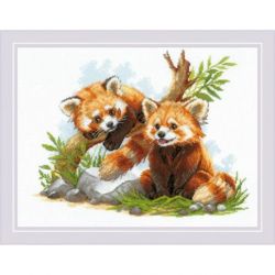 Red Panda Cubs
