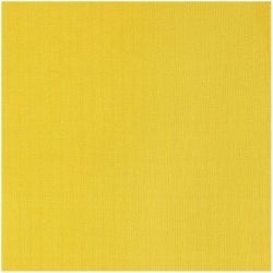 Linnen lint 11-draads 30cm