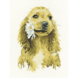 Daisy Cocker Spaniel borduurpakket